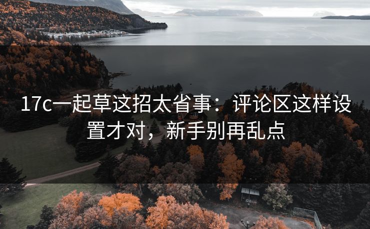17c一起草这招太省事:评论区这样设置才对,新手别再乱点 17c一起草这招太省事:评论区这样设置才对,新手别再乱点