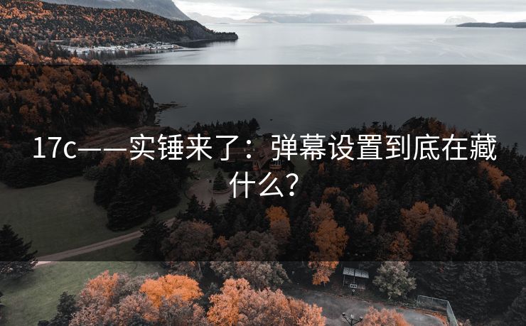 17c——实锤来了：弹幕设置到底在藏什么？